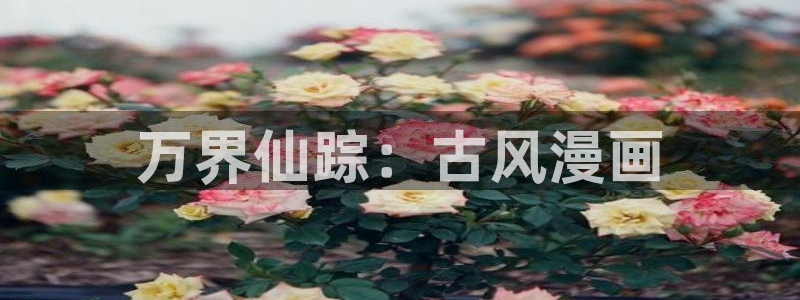 未完成的关系贝勒漫画