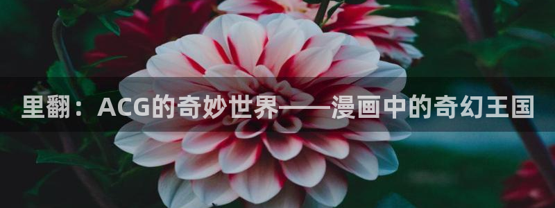 贝勒漫画在线网站