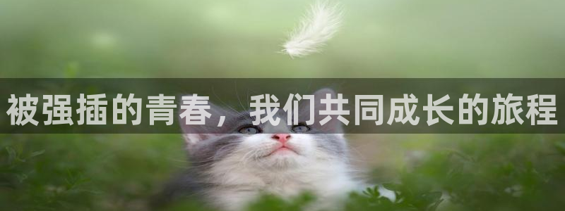 贝勒漫画软件