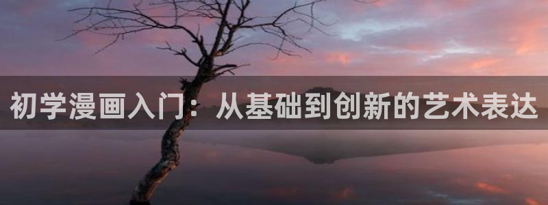 用户注册贝勒漫画：初学漫画入门：从基础到创新的艺术表达