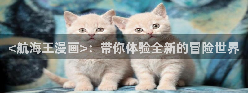 贝勒漫画韩漫：<航海王漫画>：带你体验全新的冒险世界