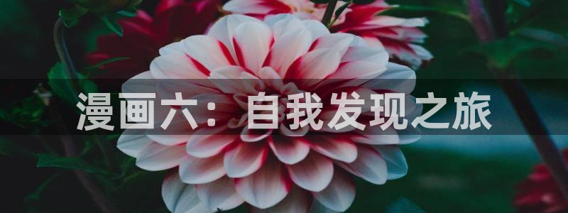 贝勒漫画网站免费观看：漫画六：自我发现之旅