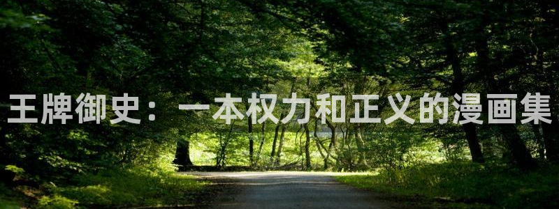 贝勒漫画旧版：王牌御史：一本权力和正义的漫画集