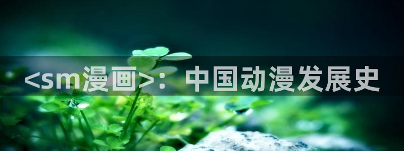 贝勒漫画入口：<sm漫画>：中国动漫发展史