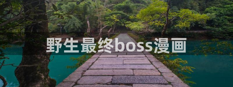 dearest贝勒漫画：野生最终boss漫画