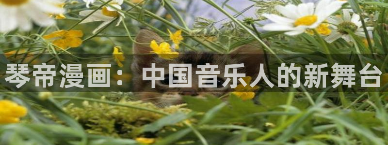 贝勒漫画在线观看贝勒：琴帝漫画：中国音乐人的新舞台