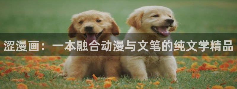 贝勒漫画全集
