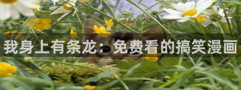 贝勒漫画韩漫：我身上有条龙：免费看的搞笑漫画