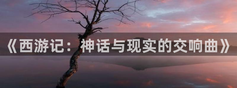 安慰剂贝勒漫画：《西游记：神话与现实的交响曲》