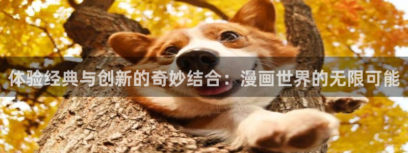 贝勒漫画登录网页：体验经典与创新的奇妙结合：漫画世界的无限可能