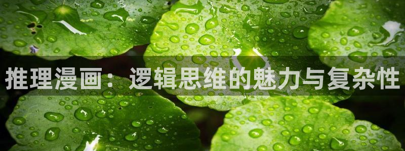 贝勒漫画(网页版)：推理漫画：逻辑思维的魅力与复杂性